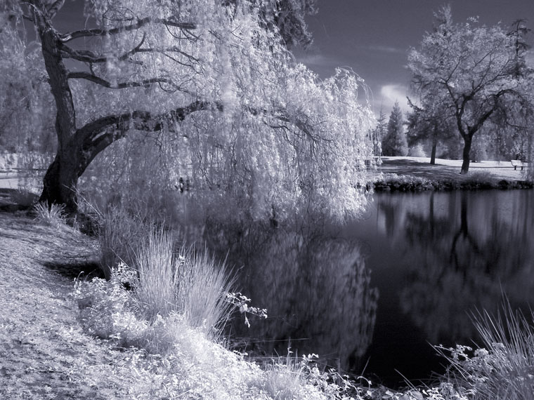 Medina Infrared